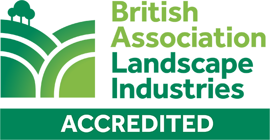 About Us bali accredited logo trimmed